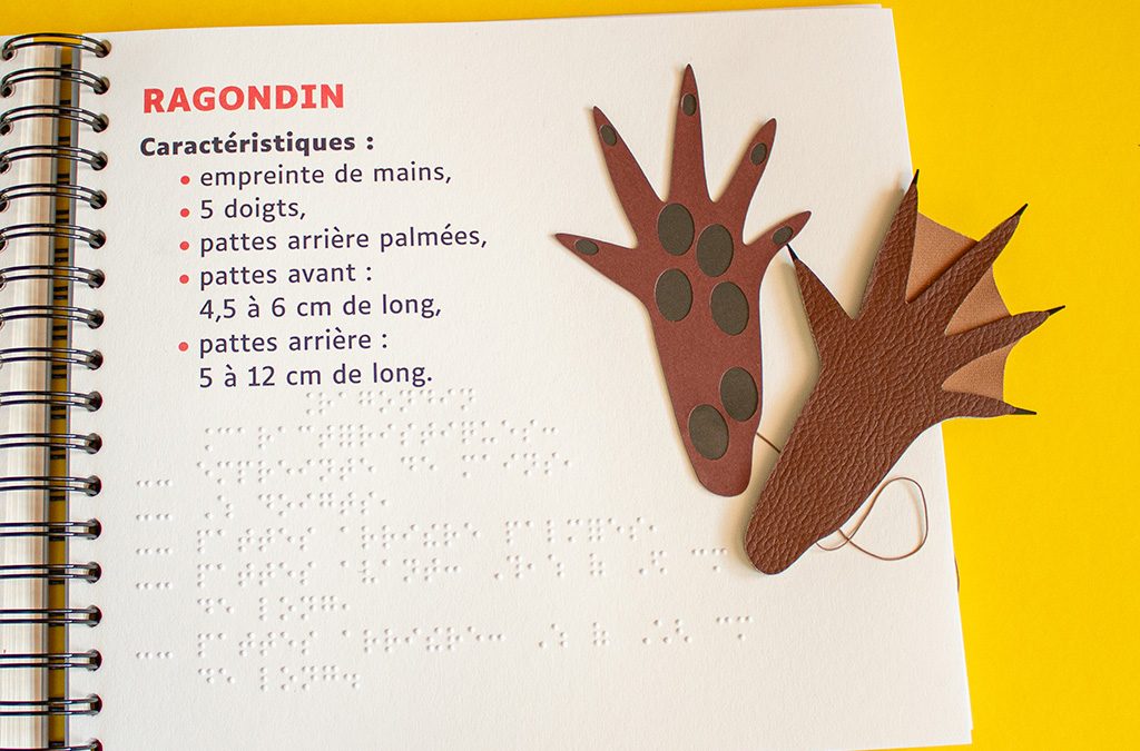 Voyage au pays du lire autrement dans le Puy de Dôme