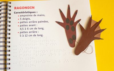 Voyage au pays du lire autrement dans le Puy de Dôme