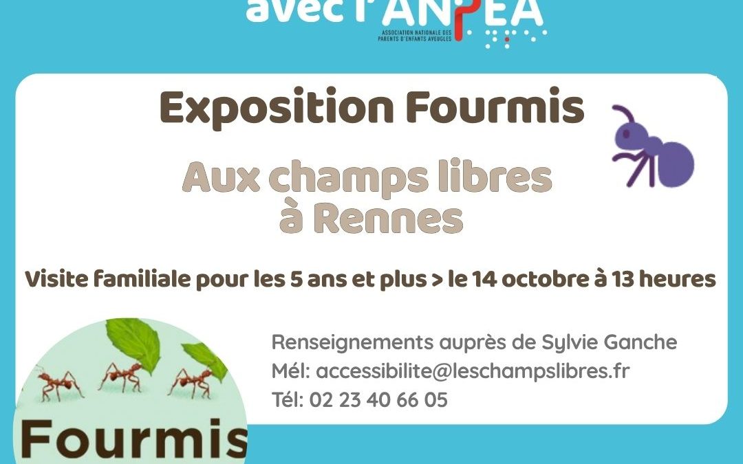 A Rennes : Sortie à l&rsquo;exposition Fourmis le 14 octobre aux Champs libres