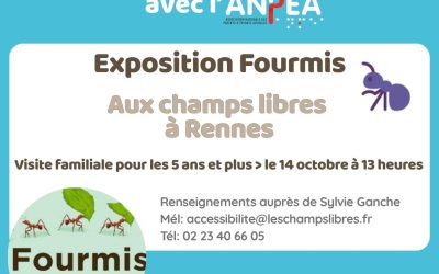 A Rennes : Sortie à l’exposition Fourmis le 14 octobre aux Champs libres
